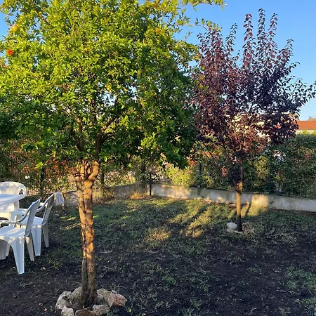 Garden *